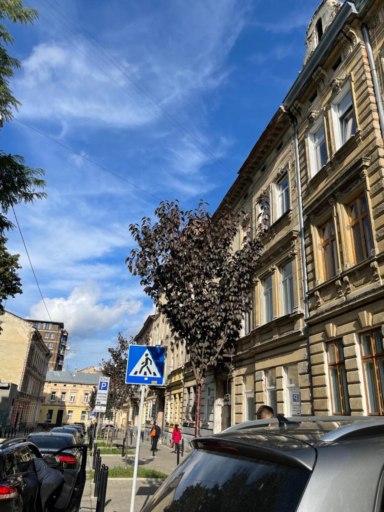 Vintage Apartment Kotlyarska10 Lviv Buitenkant foto